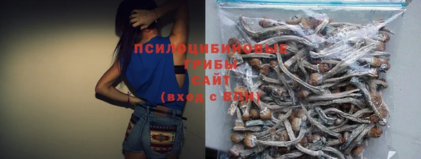 бутират Вяземский