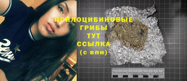 дурь Горняк