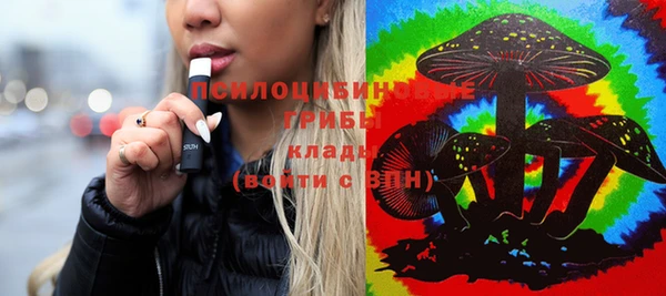 бутират Вяземский