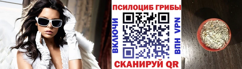 Галлюциногенные грибы мицелий Купить где Тюкалинск